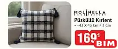 MOLİNELLA PÜSKÜLLÜ KIRLENT